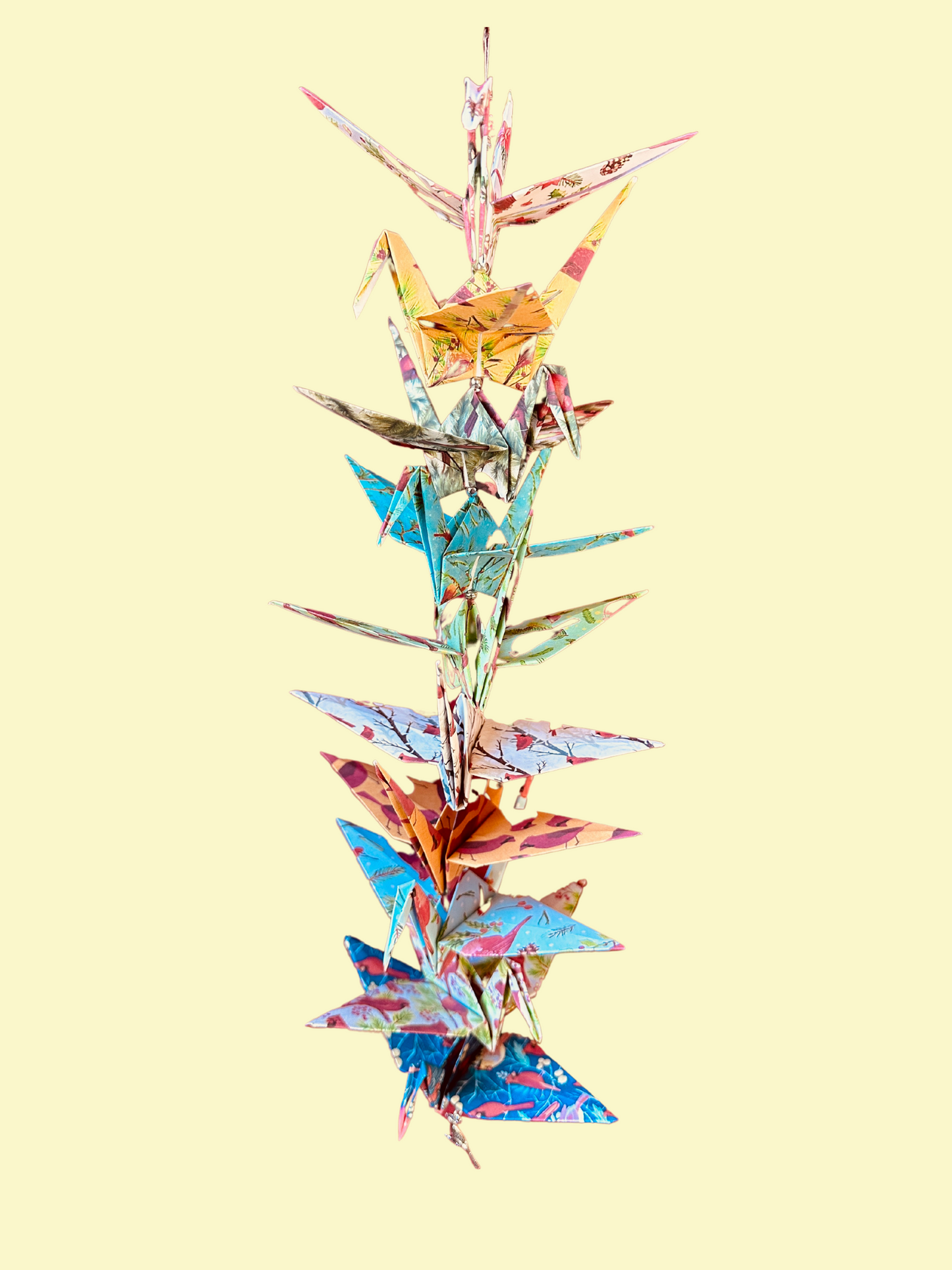 SEASONAL: Cardinals