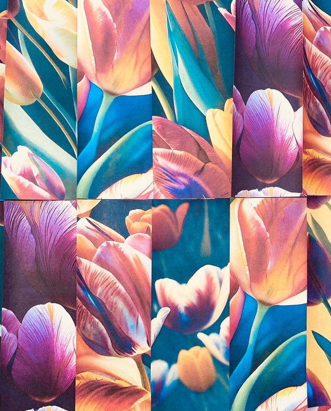 SEASONAL: Tulips
