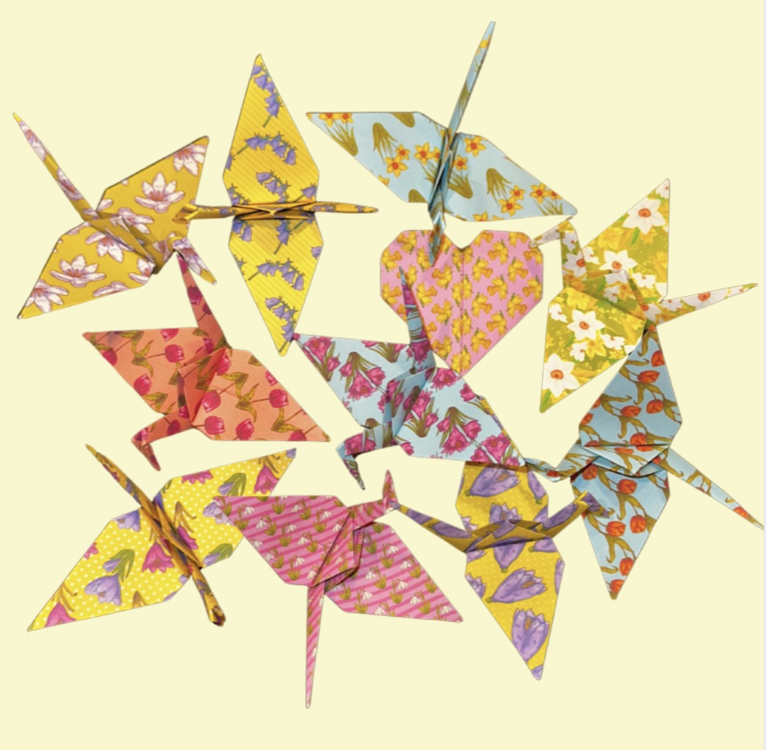 SEASONAL: Spring Flowers