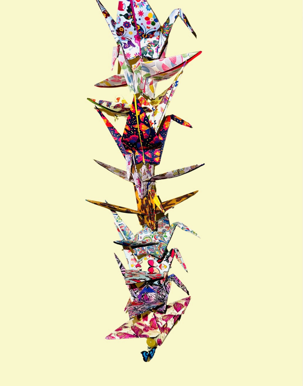 Butterflies