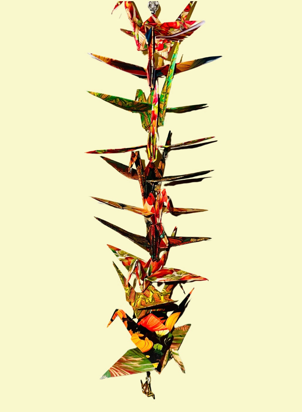 SEASONAL: Autumn Harvest