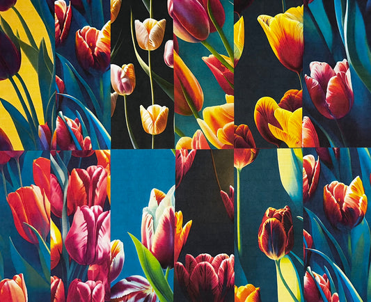 SEASONAL: Tulips